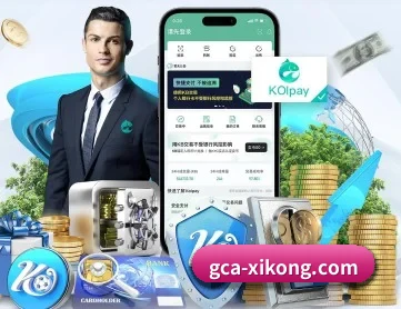 星空娱乐 APP 深度功能